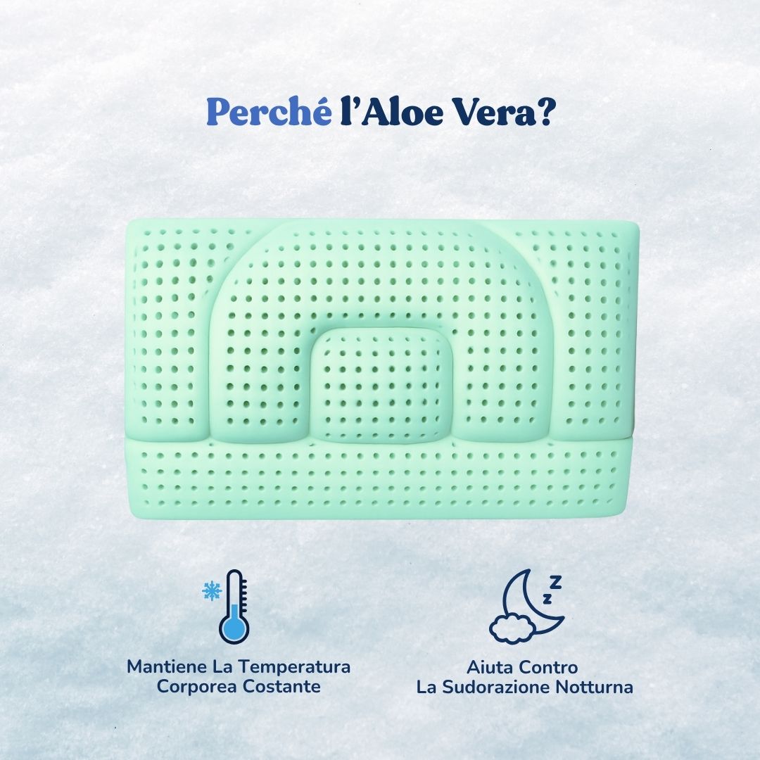 Wellness Pillow - Aloe Vera