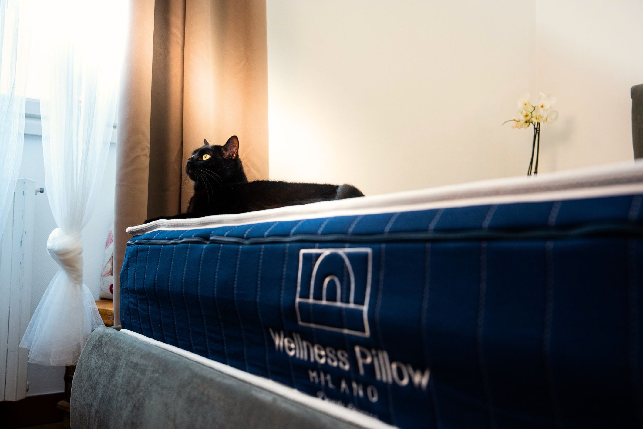 Materasso Memory WPM Premium